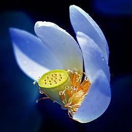 《Kerbal Space Program 2》将于明年2月24日在获准上市区域发布抢先体验版